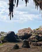 Shoab beach Socotra