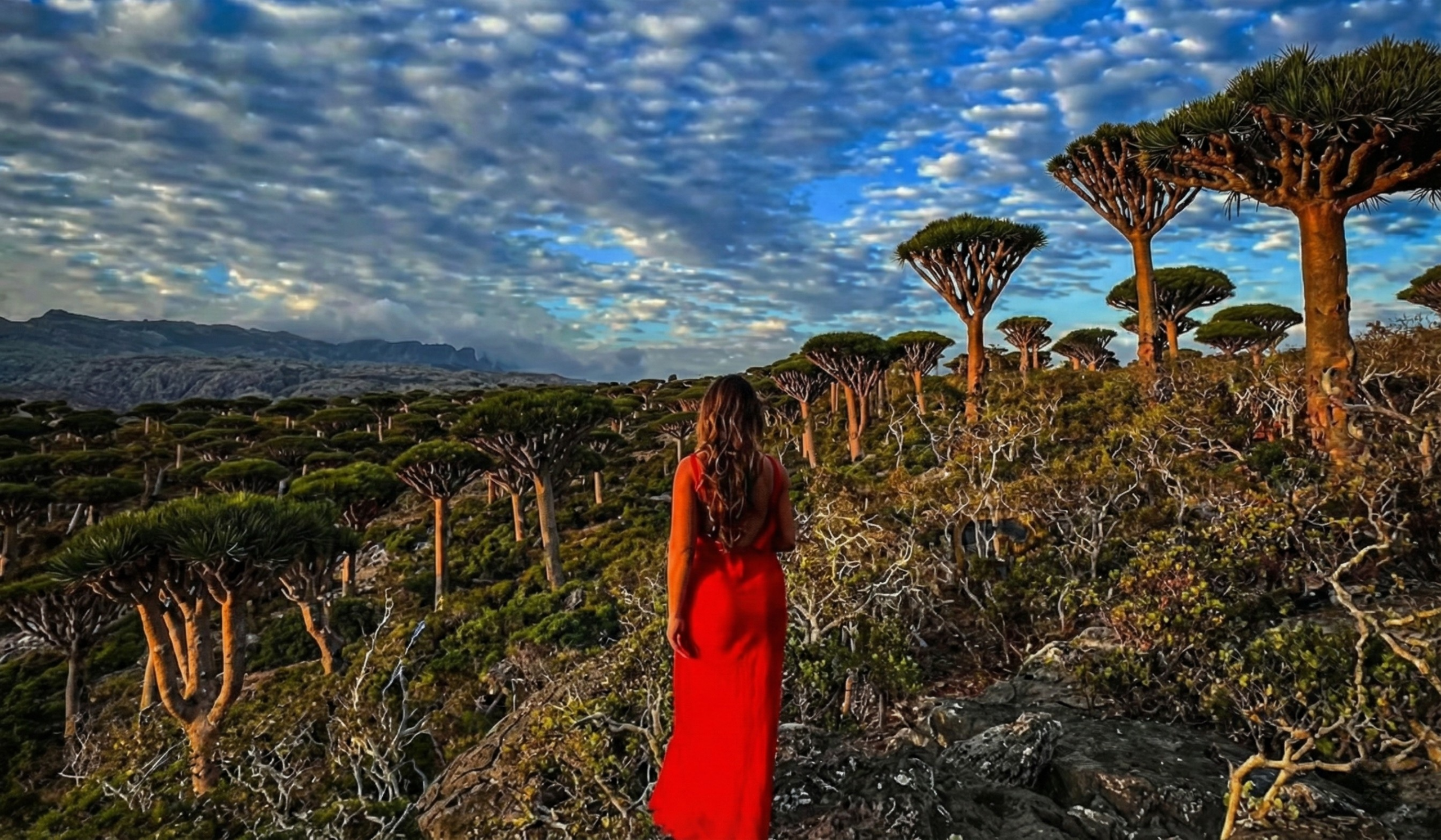 Socotra Image 2