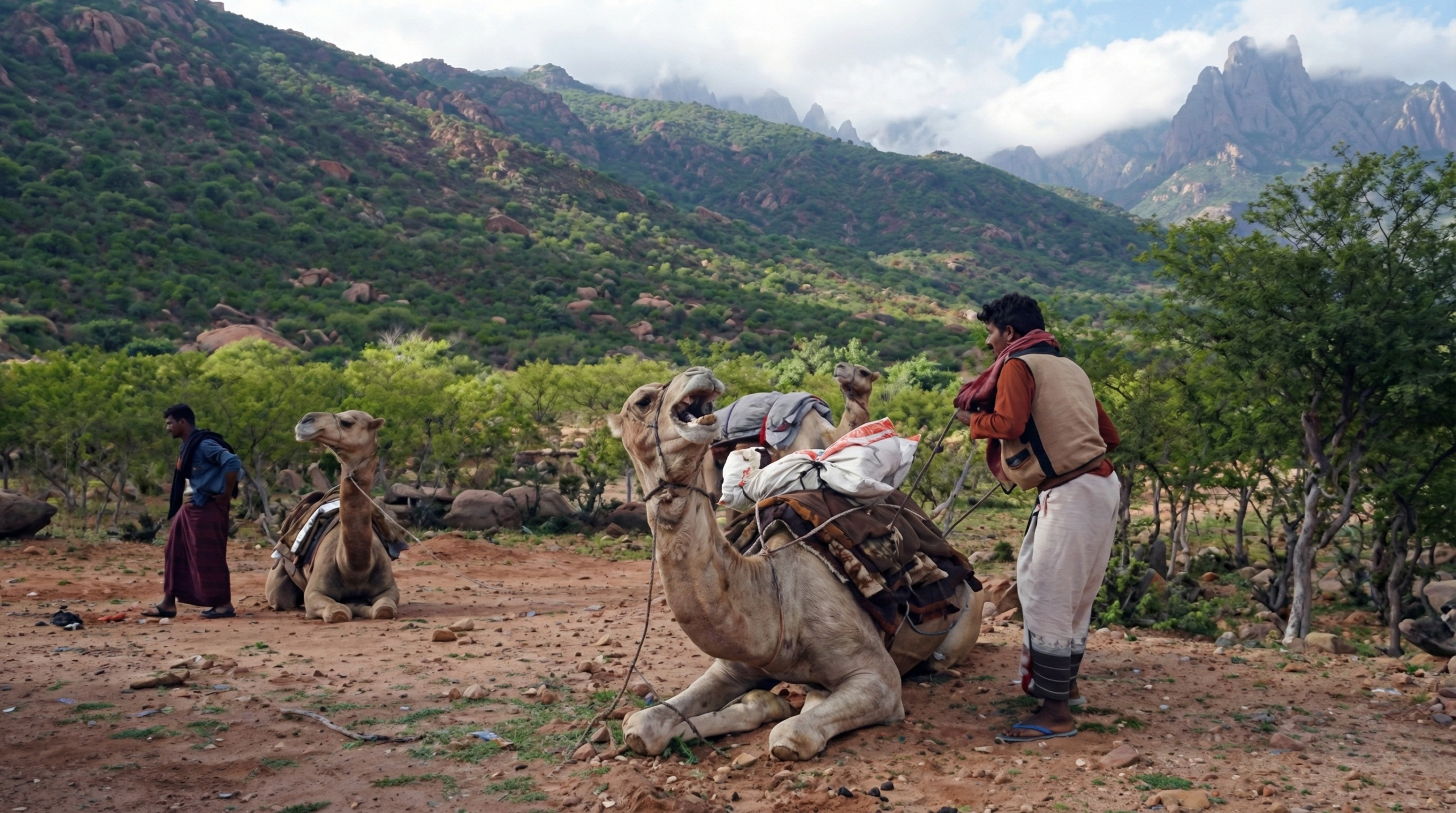 Socotra Image 10