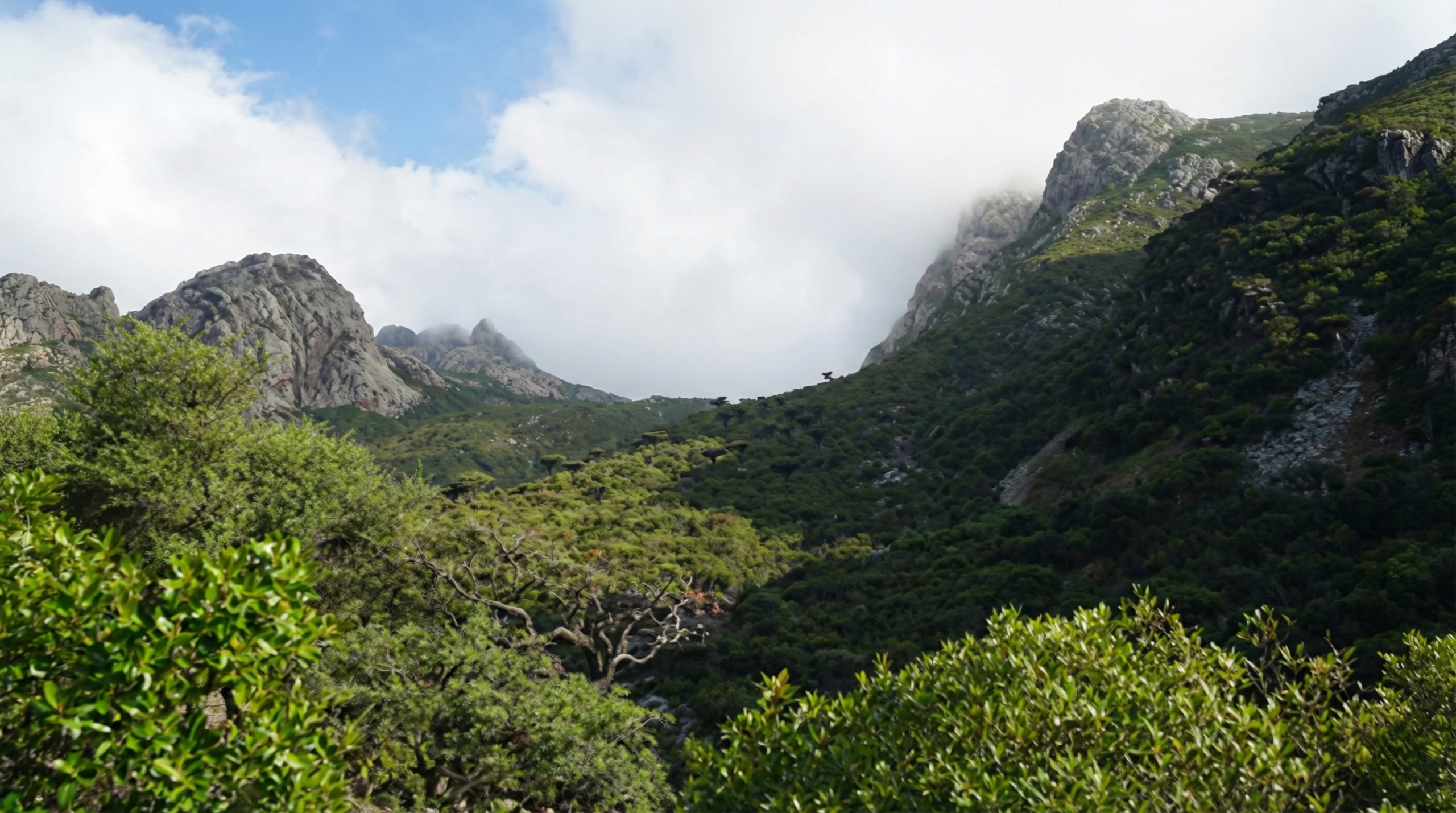 Socotra Image 9